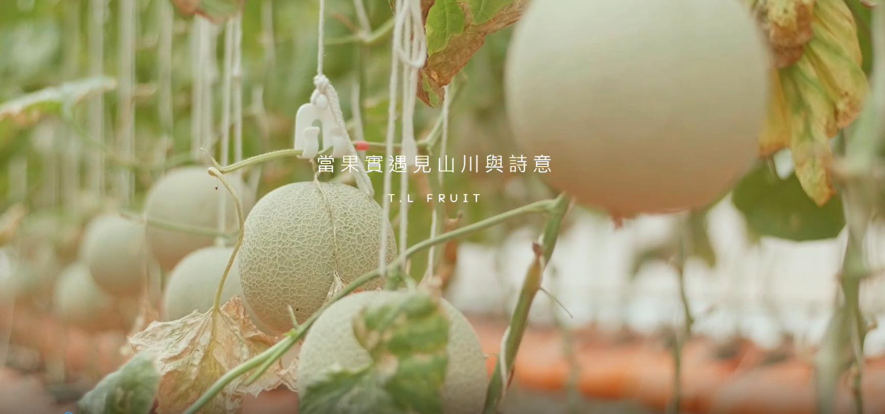 Background Video
